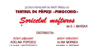 Un nou spectacol de teatru de păpuși pentru micii gorjeni