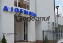 Două noi cursuri de formare profesională, demarate de AJOFM Gorj