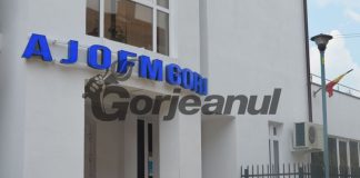 Două noi cursuri de formare profesională, demarate de AJOFM Gorj