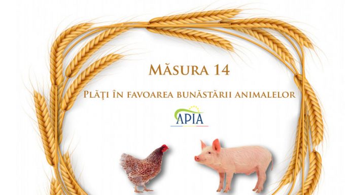 APIA primește deconturile trimestrului II pentru Măsura 14