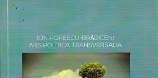 Însemnări de scriitor – Ion Popescu-Brădiceni, Ars Poetica Transversalia sau aventurile trans-scriiturii