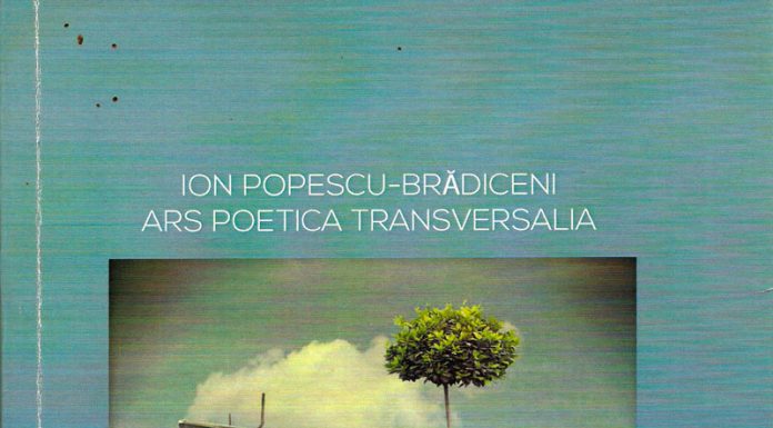 Însemnări de scriitor – Ion Popescu-Brădiceni, Ars Poetica Transversalia sau aventurile trans-scriiturii