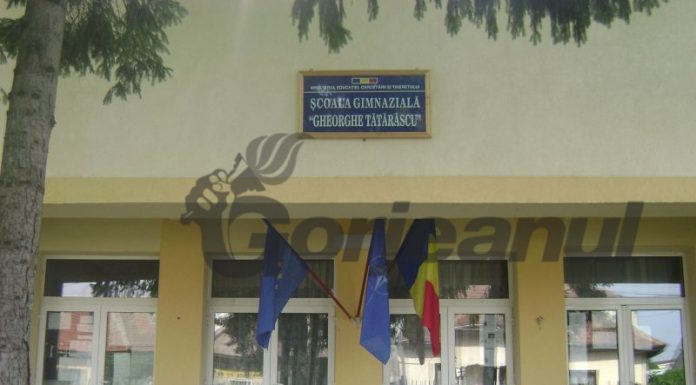 Colegiul de Disciplină al IȘJ Gorj cercetează sustragerea unor documente din dosarul de gradație de merit al unei profesoare