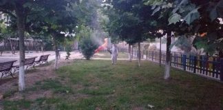 Dezinfecție și dezinsecție la Rovinari