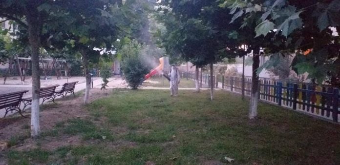 dezinfectie rovinari (1)