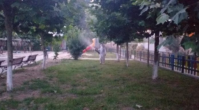 Dezinfecție și dezinsecție la Rovinari