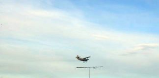 O nouă dezinsecție aeriană, la Târgu-Jiu