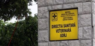 Amenzi de peste 43.000 de lei pentru mai multe restaurante și baruri din Gorj