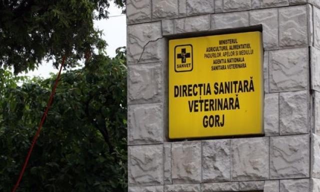 Amenzi de peste 43.000 de lei pentru mai multe restaurante și baruri din Gorj