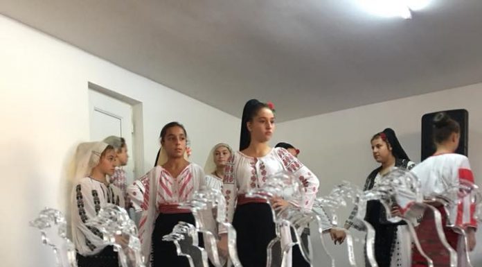 Și Festivalul ,,Ion Cănăvoiu” se mută în online