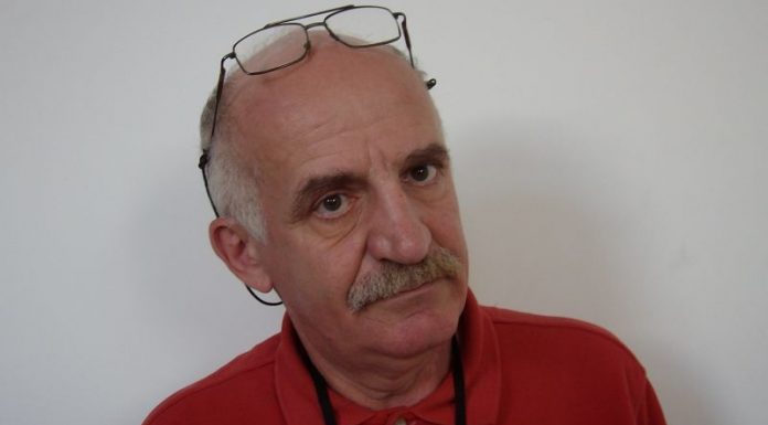 Ca la noi, la nimeni – Spre alegeri cu cântec?!(Ce-a făcut Doamna Elena pentru Țară?)