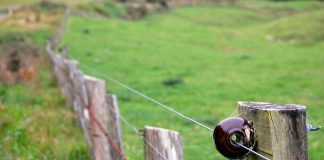 Bani pentru instalarea gardurilor electrice. Gorjul, pe listă!