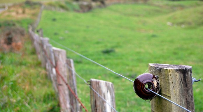 Bani pentru instalarea gardurilor electrice. Gorjul, pe listă!