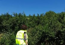 Medic veterinar, amendat cu 6.000 de lei