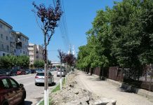 E șantier în orașul Rovinari! Sistem de iluminat public pe led, introdus, iar străzile și trotuarele sunt asfaltate!