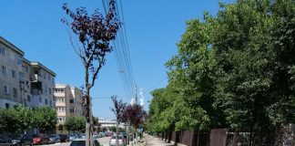 E șantier în orașul Rovinari! Sistem de iluminat public pe led, introdus, iar străzile și trotuarele sunt asfaltate!