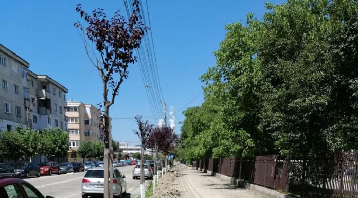 E șantier în orașul Rovinari! Sistem de iluminat public pe led, introdus, iar străzile și trotuarele sunt asfaltate!