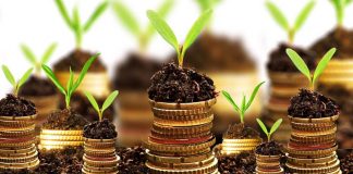 APIA: Românii pot depune cereri de propuneri de granturi pentru promovarea produselor agricole