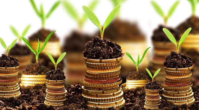 APIA: Românii pot depune cereri de propuneri de granturi pentru promovarea produselor agricole