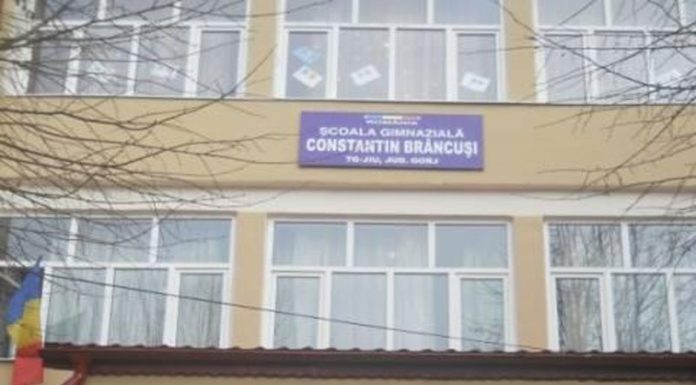 Școala Gimnazială ,,Constantin Brâncuși” Târgu-Jiu, centru de examen pentru Definitivat