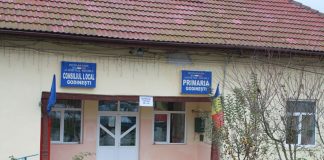 Mafia subvențiilor APIA lovește Primăria Godinești! Dosar penal, pe masa procurorilor PJ Târgu-Jiu