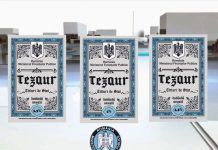 MFP a lansat patru noi emisiuni de titluri de stat