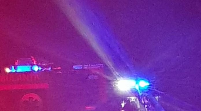 VIDEO: Tragedie în Defileul Jiului: Un bărbat, mort după ce a fost implicat într-un accident