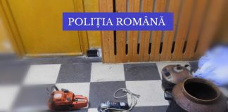 Liberi după furt