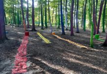 ,,Pădurea Colorată” e mai bogată cu câteva „umbre”