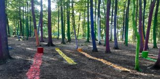 ,,Pădurea Colorată” e mai bogată cu câteva „umbre”