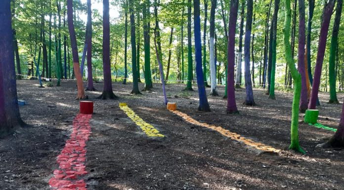 ,,Pădurea Colorată” e mai bogată cu câteva „umbre”