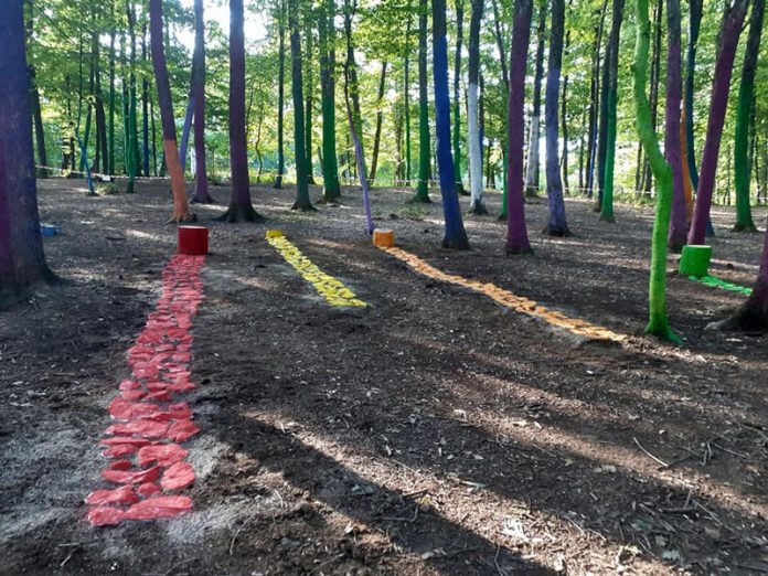 117724019_1354260648118549_3529778847803078686_n