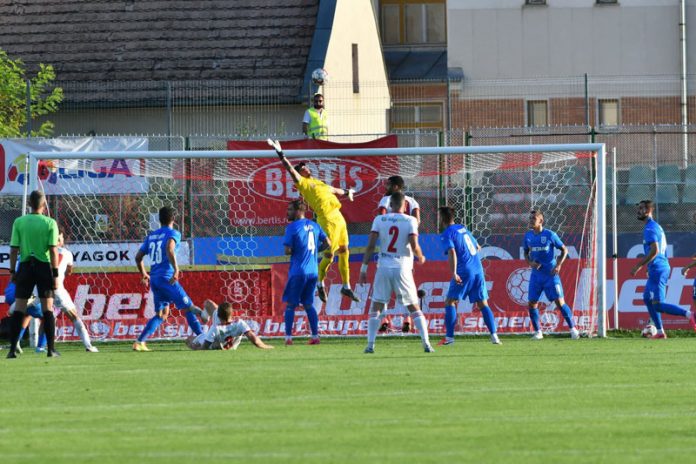 118230956_313585309890630_6718219930960973505_n