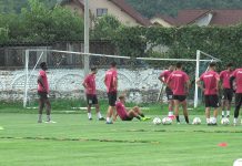 Noile transferuri ar putea lipsi cu Metaloglobus