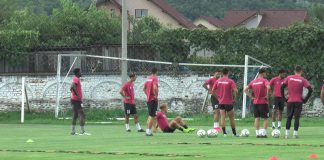 Noile transferuri ar putea lipsi cu Metaloglobus