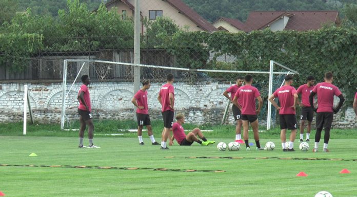 Noile transferuri ar putea lipsi cu Metaloglobus