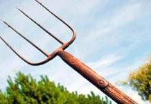 Mamă și fiu atacați cu o furcă