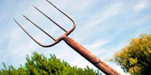 928f9acce424a51485960757c5baa9a0_Generic