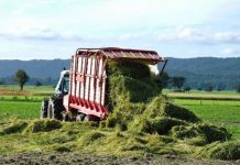 Agricultura pe înțelesul tuturor – Dacă toamna va fi timpurie și scurtă