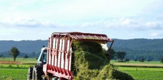 Agricultura pe înțelesul tuturor – Dacă toamna va fi timpurie și scurtă