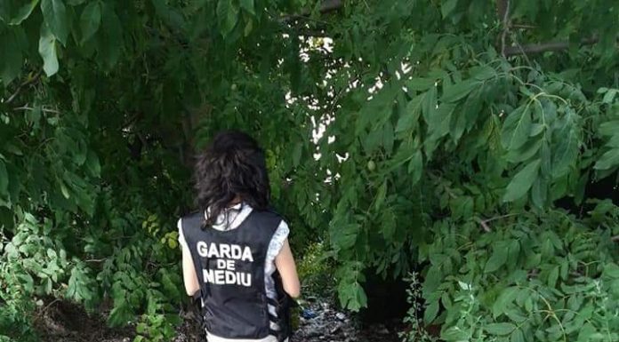 Garda de Mediu, în control la Piața Centrală, zona târgului de păsări