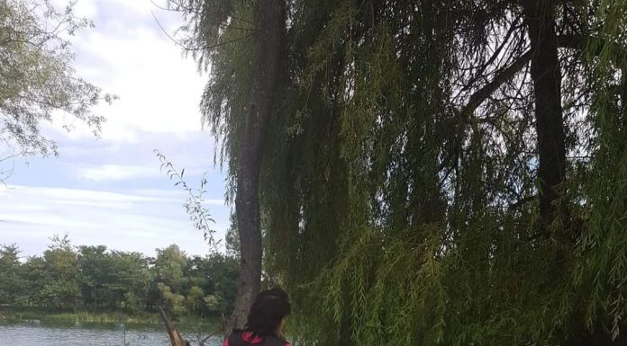 Verificări la iazurile piscicole din Gorj