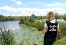 Primele verificări la iazurile piscicole din Gorj!