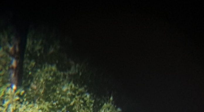 Foto/Video: Polițistul local din Turcinești, în concediu medical, argat pe moșia primarului!