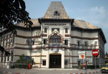 Guvernul a reglementat denumirile calificărilor și a titlurilor din învățământul superior