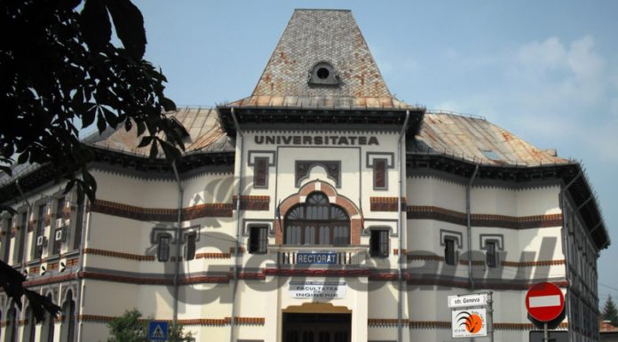 Guvernul a reglementat denumirile calificărilor și a titlurilor din învățământul superior