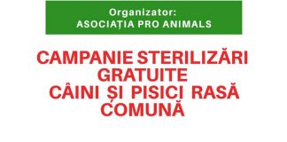Campanie gratuită de sterilizare a patrupedelor, la Târgu-Jiu