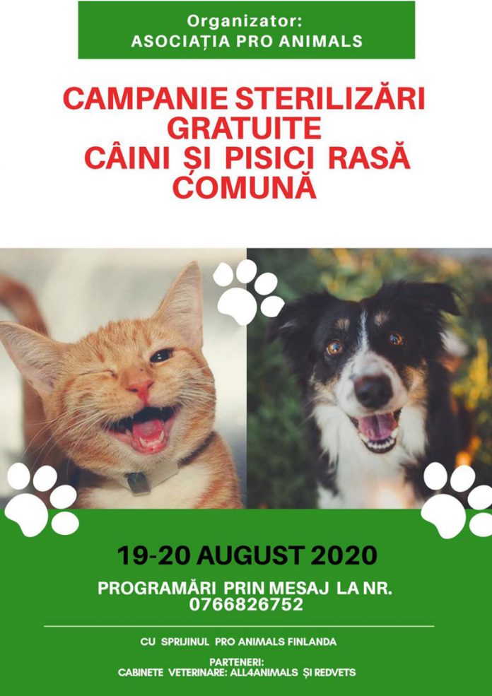 Campanie gratuită de sterilizare a patrupedelor, la Târgu-Jiu