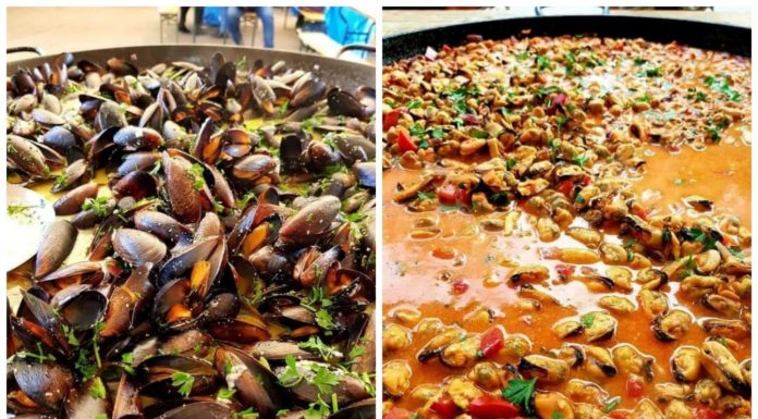 Festivalul Mediteranean, din nou la Târgu Jiu