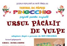 ,,Ursul păcălit de vulpe”, pe scena Teatrului de Vară din Târgu-Jiu